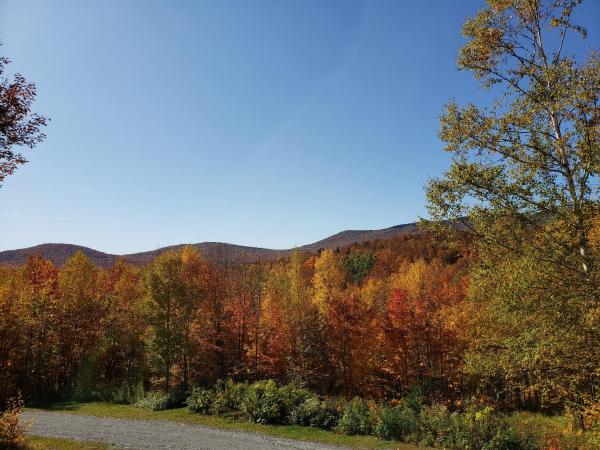Single Family in Stowe VT