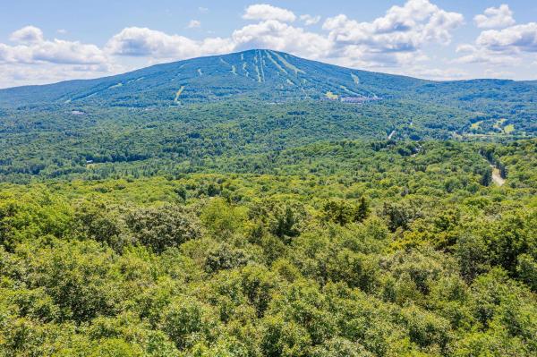 4.1 Pearl Buck Drive