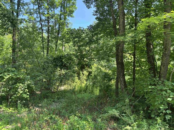 Upper Plains Road