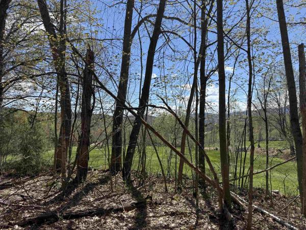 2527 Bent Hill Road