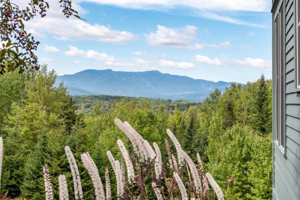 Single Family in Stowe VT