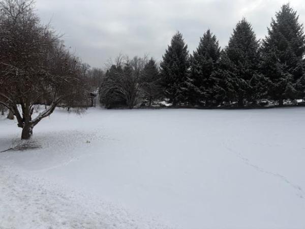 00 Tuttle Meadow Drive