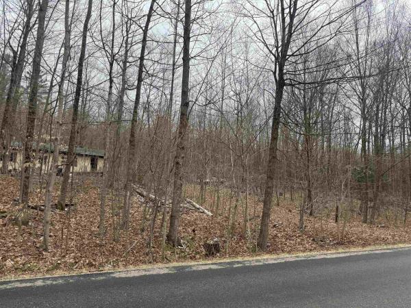 1413 Lake Dunmore Road