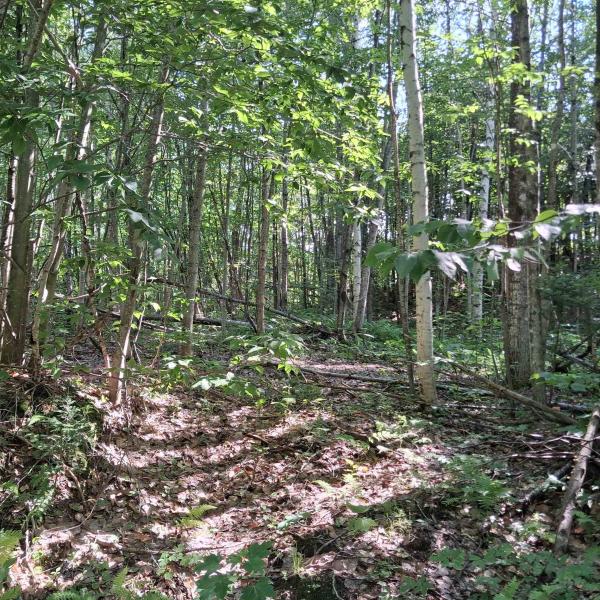 Lot 3 Ballground Road