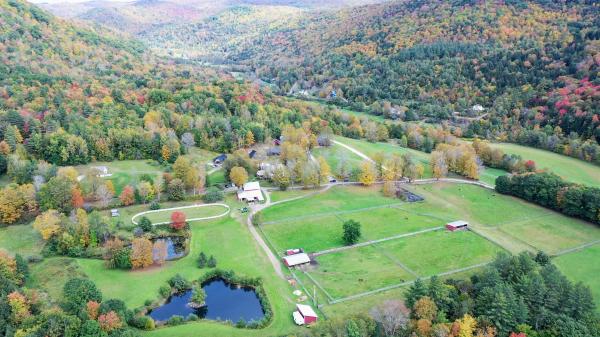 298 Holiday Farm Road
