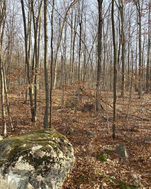 20 Forest Ridge Drive