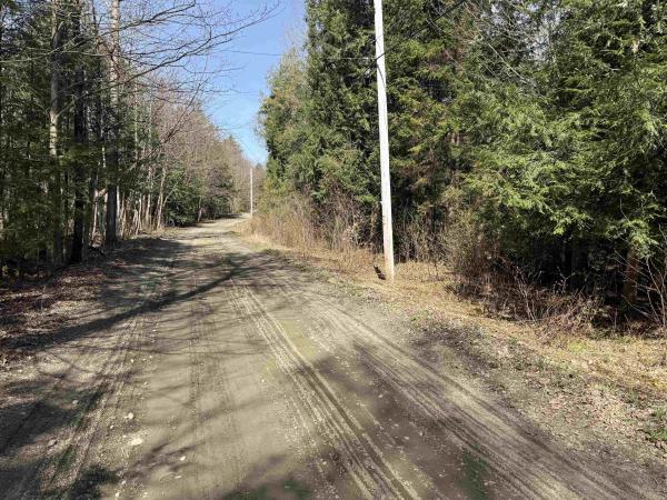 Woods Road