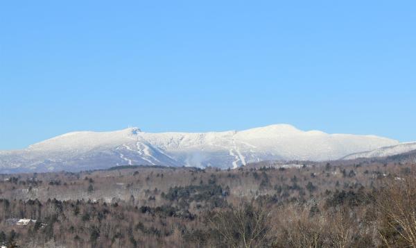 Single Family in Stowe VT