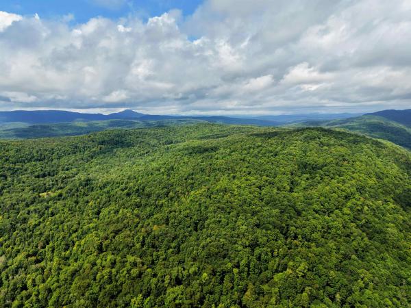 20 Woodbury Mountain Road