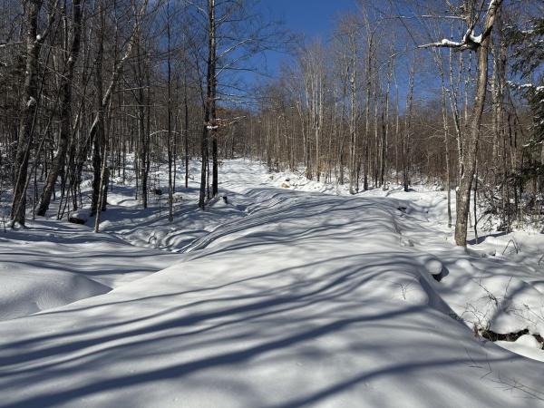 S-1d Great Roaring Brook Road