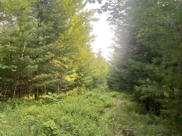 Lot 4 Aldrich Mountain Lane