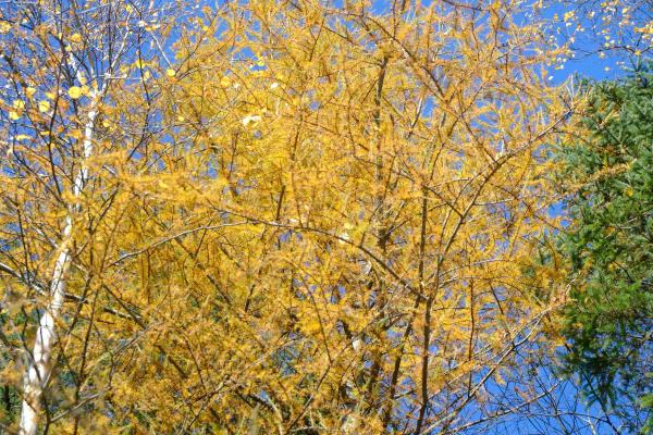 592 Vertical Mile Road