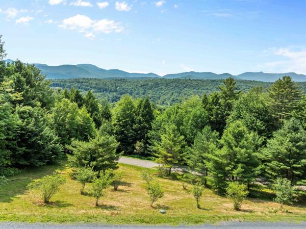 Single Family in Stowe VT