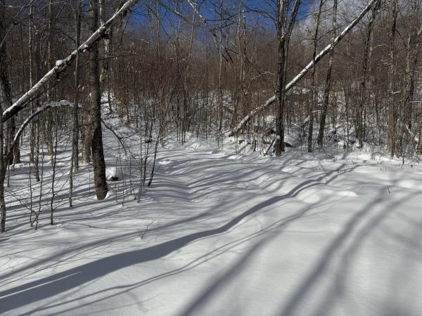 S-1e Great Roaring Brook Road