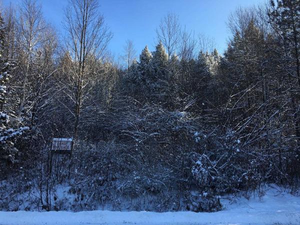 00 Paine Turnpike South