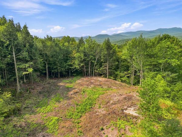 0000 White Birch Road