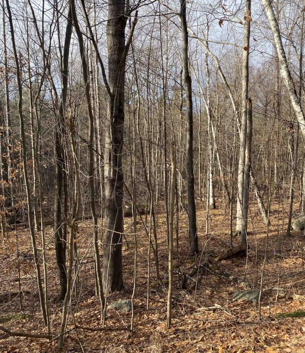 8 Fred Johnson Circle