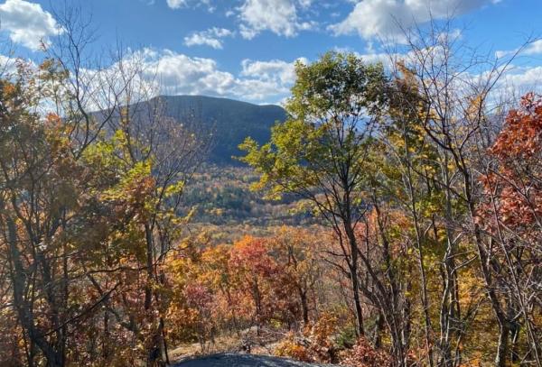 1156 Bear Mountain Road