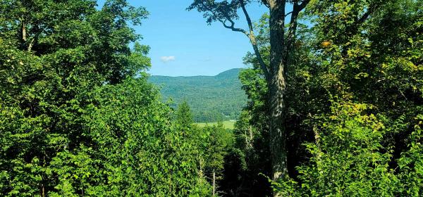 Single Family in Johnson VT