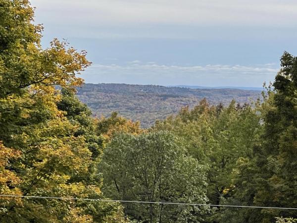 47 Snow Shoe Road