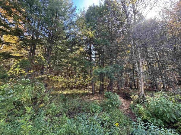 0 Green Hill Lane