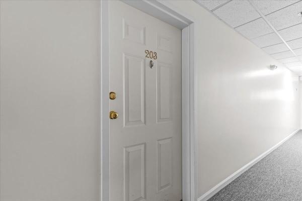 203 Hildred Drive