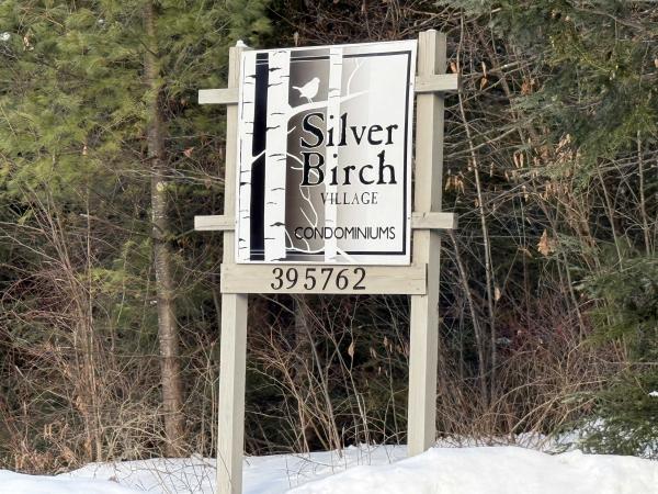 62 Silver Birch Place