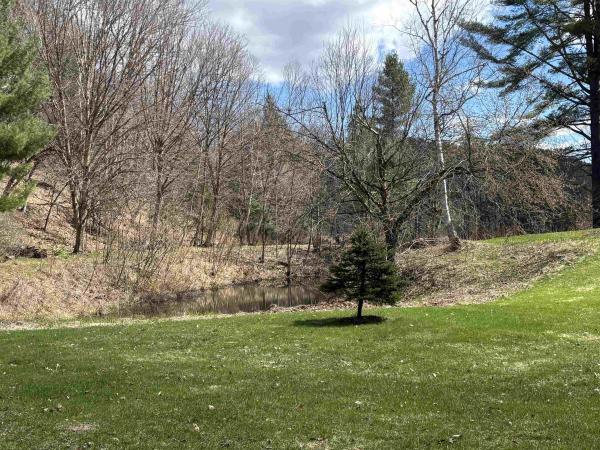 Single Family in Hyde Park VT