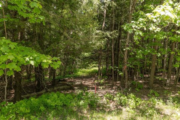 1243 North Hollow Road