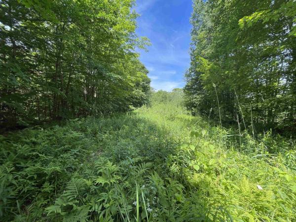 Schuss Road