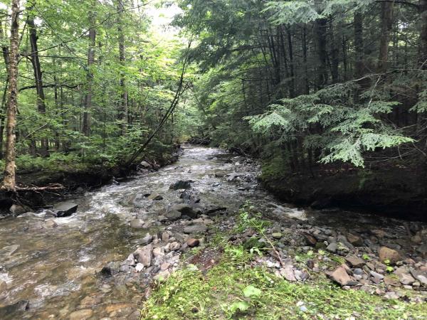 Single Family in Lowell VT