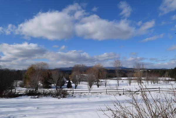 Single Family in Morristown VT