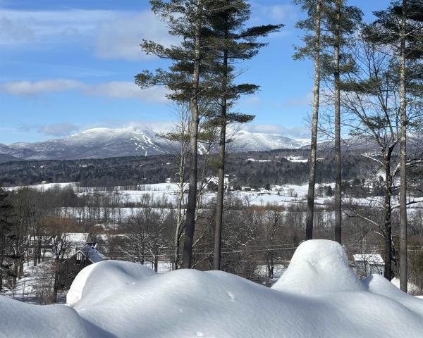Single Family in Stowe VT