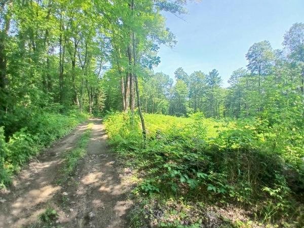 00 Kasson Road