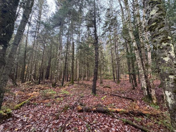 10 Hampshire Hill Road