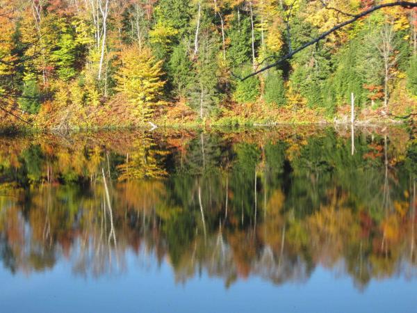 Single Family in Eden VT