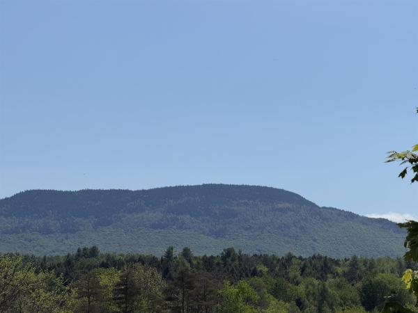  in Morristown VT