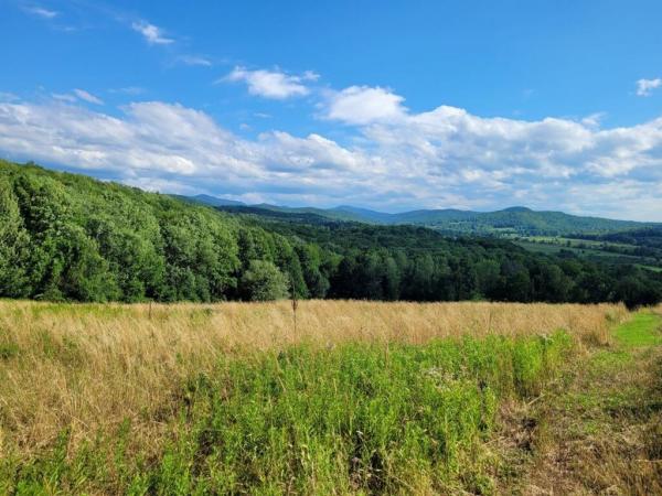 2391 Vermont RT 153
