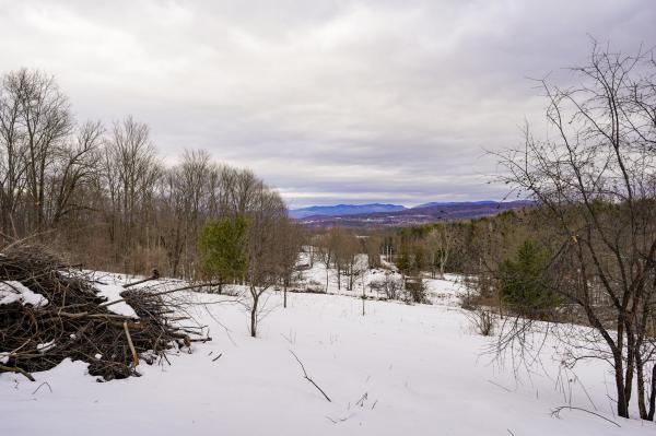 96 Knox Hill Road