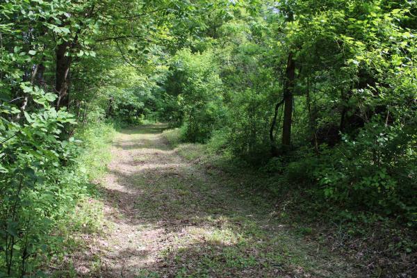 3131 Old Otis Road