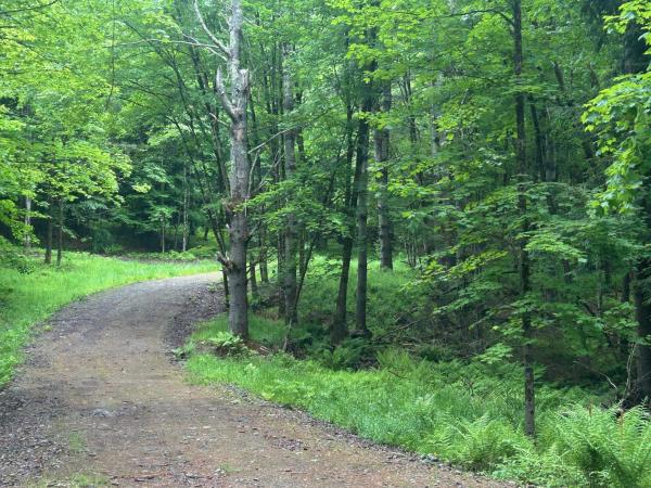  in Johnson VT