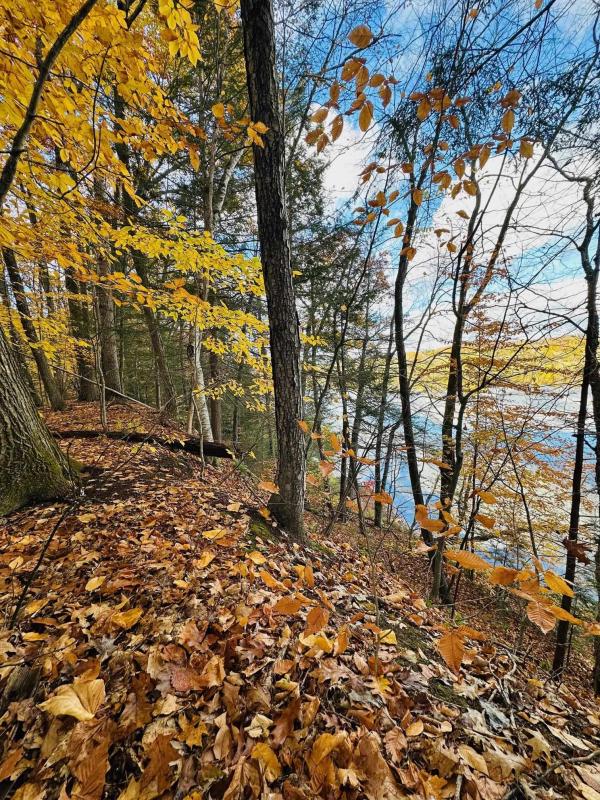 476 Missing Link Road