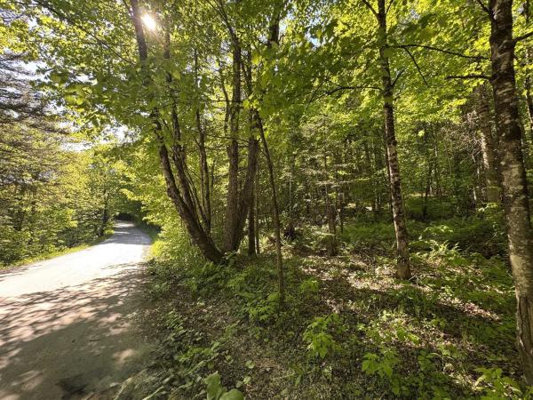 2800 Dugar Brook Road