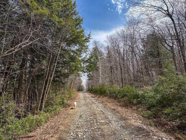 00 Boone Road