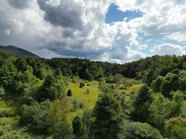Lot 0 Darling Road