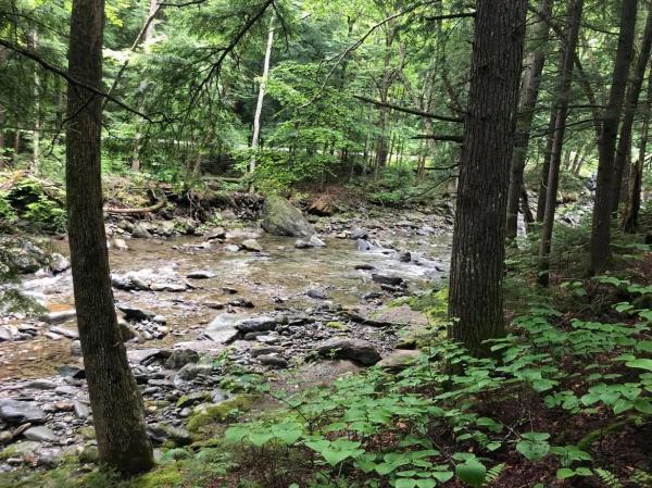 1548 Camels Hump Road 1548 Camels Hump Road