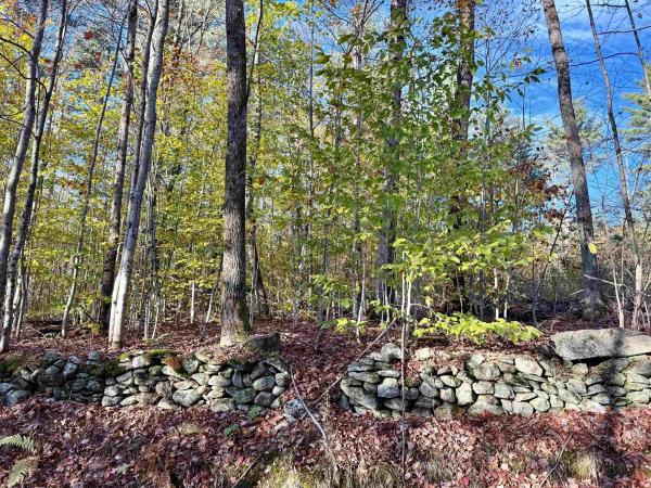 0 Townshend Dam Road