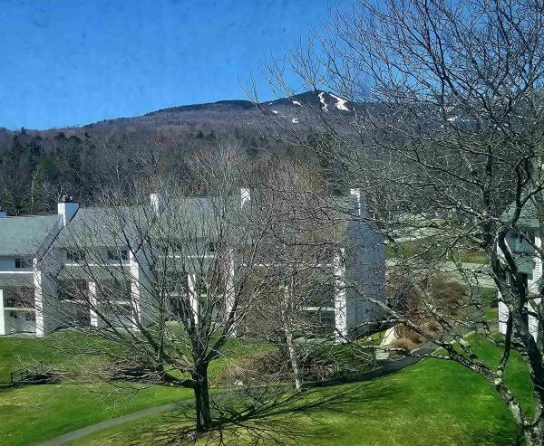 Condo in Stowe VT