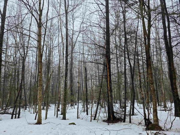 1500 Allard Hill Road