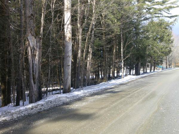  in Johnson VT